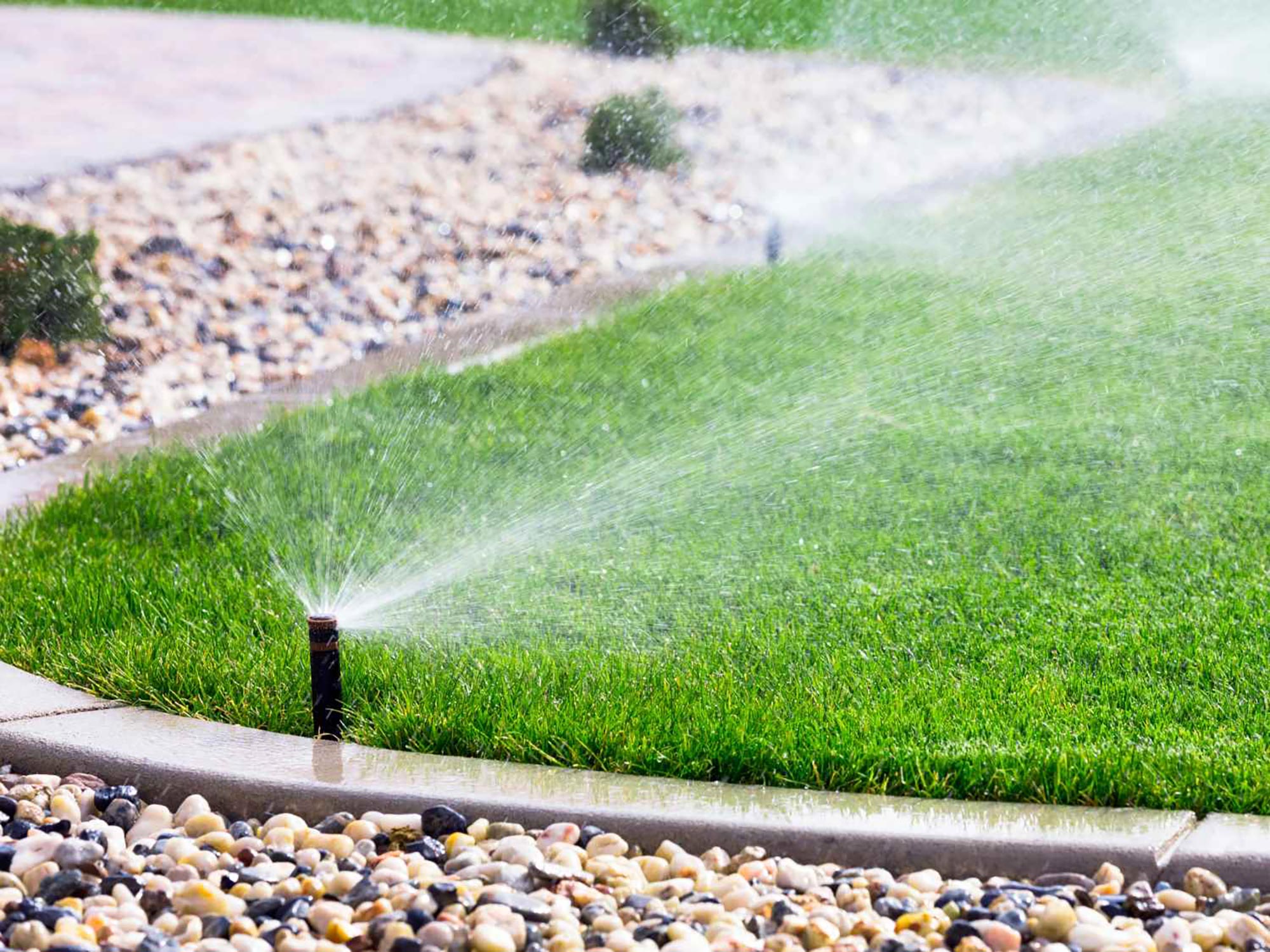 Rain Your Way sprinkler installation showcase image 3