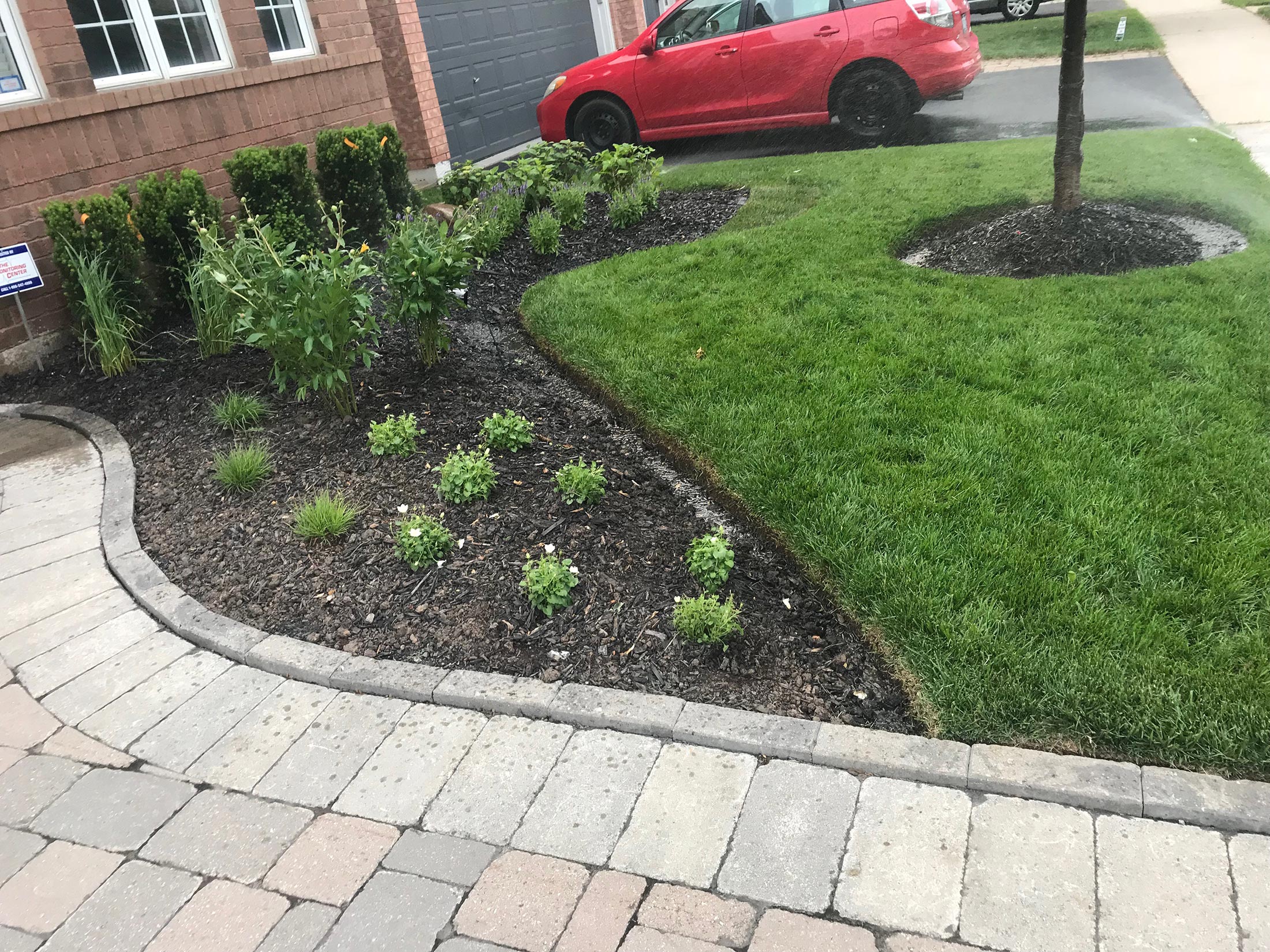 Rain Your Way sprinkler installation showcase image 6